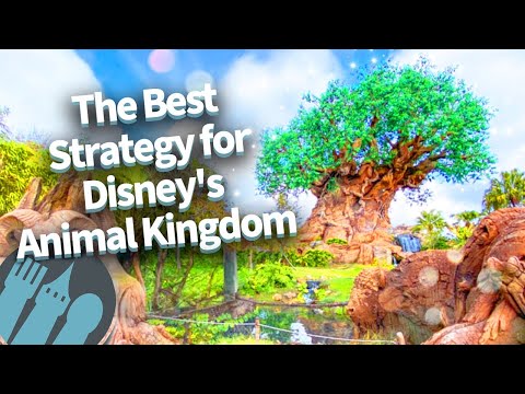 The Best Strategy for Disney's Animal Kingdom
