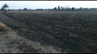  Agricultural Land for Sale in Shyampur, Sehore