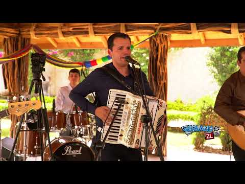 Alfonso Payan y Asociados - El Tronco De La Familia (En Vivo 2022)