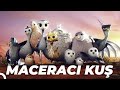 Maceracı Kuş Yellowbird Animasyon Filmi Full Film İzle