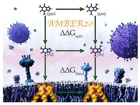 Applications of alchemical free energy calculations تطبيقات حسابات الطاقة من المواد الكيميائية