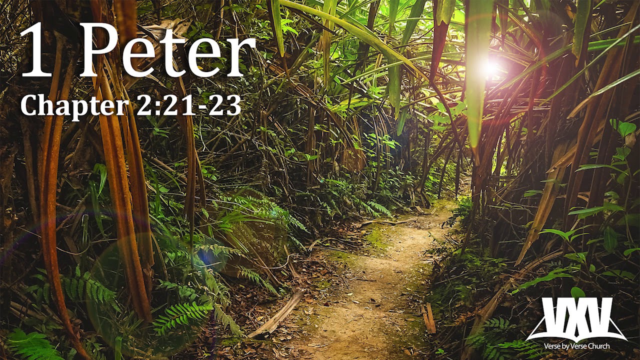 Verse by Verse - 1 Peter 2:21-23