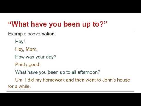 “What have you been up to”