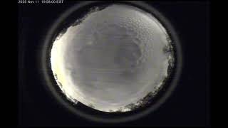 Aurora Timelapse 11-11-2025