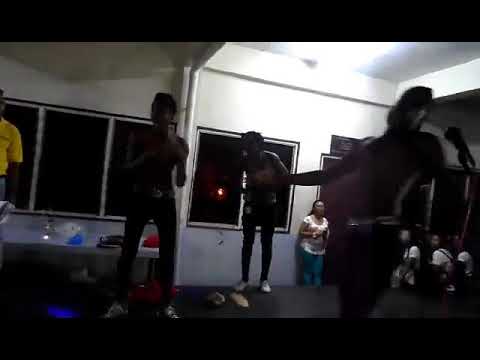 Money hond Bordo dans by Yong PokuDosu