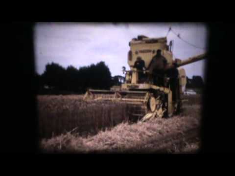 Loonw Vande Moortel - Beveren-Roeselare