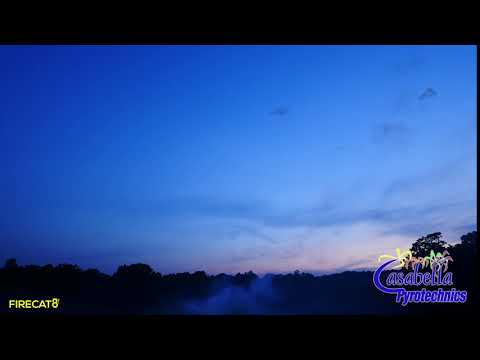 Dominator 62mm Yellow and Orange Peony