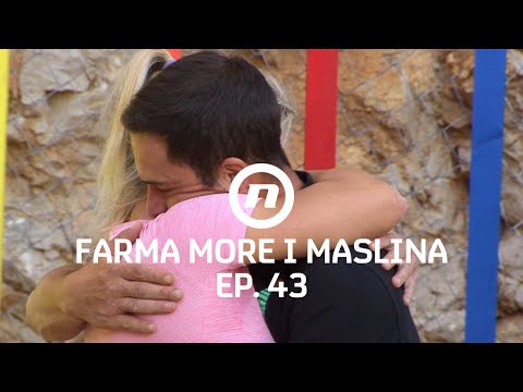 Dvoboj: Dora vs Josip - Epizoda 43 | Farma More i Maslina