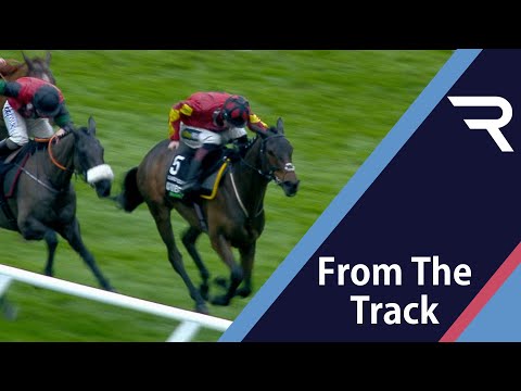 Thrilling finish! GUARD YOUR DREAMS battles bravely to win the 2021 Unibet International Hurdle