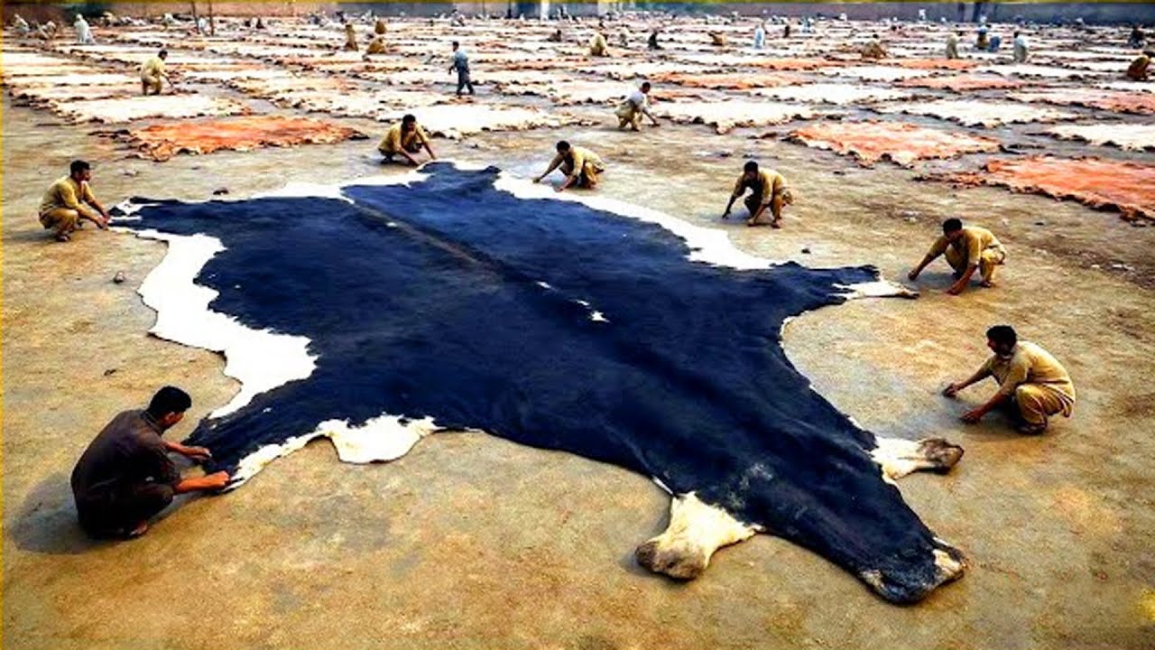 ما وراء صناعة الجلود في باكستان… عمليات خطرة لم تسمع عنها من قبل!