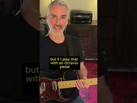 Misunderstood Pedals | The Octavia or Octave Fuzz