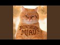 Montagem Miau Super Slowed