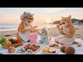 Ginger Kitten Meets Grandma Mama Cat S Relaxing Seaside Adventure Funny Cat Videos