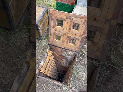 You can't go to the secret underground minecraft world