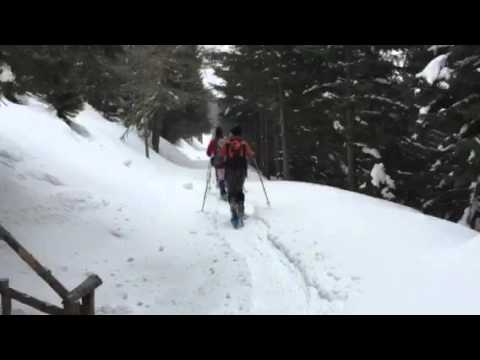 Piani del Montasio, malga Cregnedul - 13.3.2016