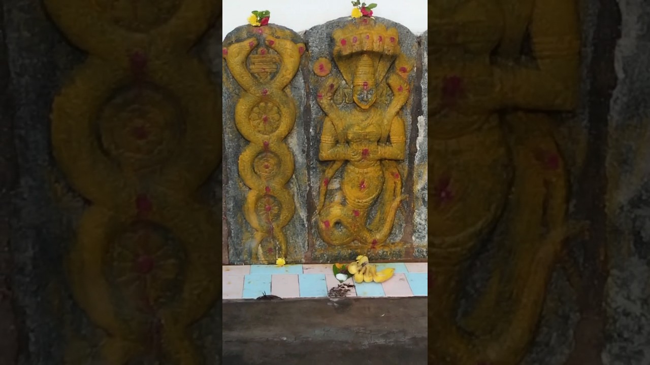 Naga Devatha #nagadevatha #mahadev #shiva #hanuman #hindu #nagaraj #nagarapanchami #hinduism