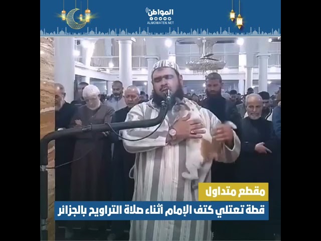 قطة تعتلي كتف الإمام أثناء صلاة التراويح بالجزائر