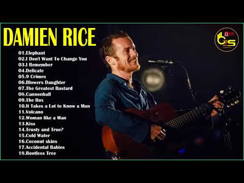 Damien Rice Greatest Hits - Best Songs Of Damien Rice