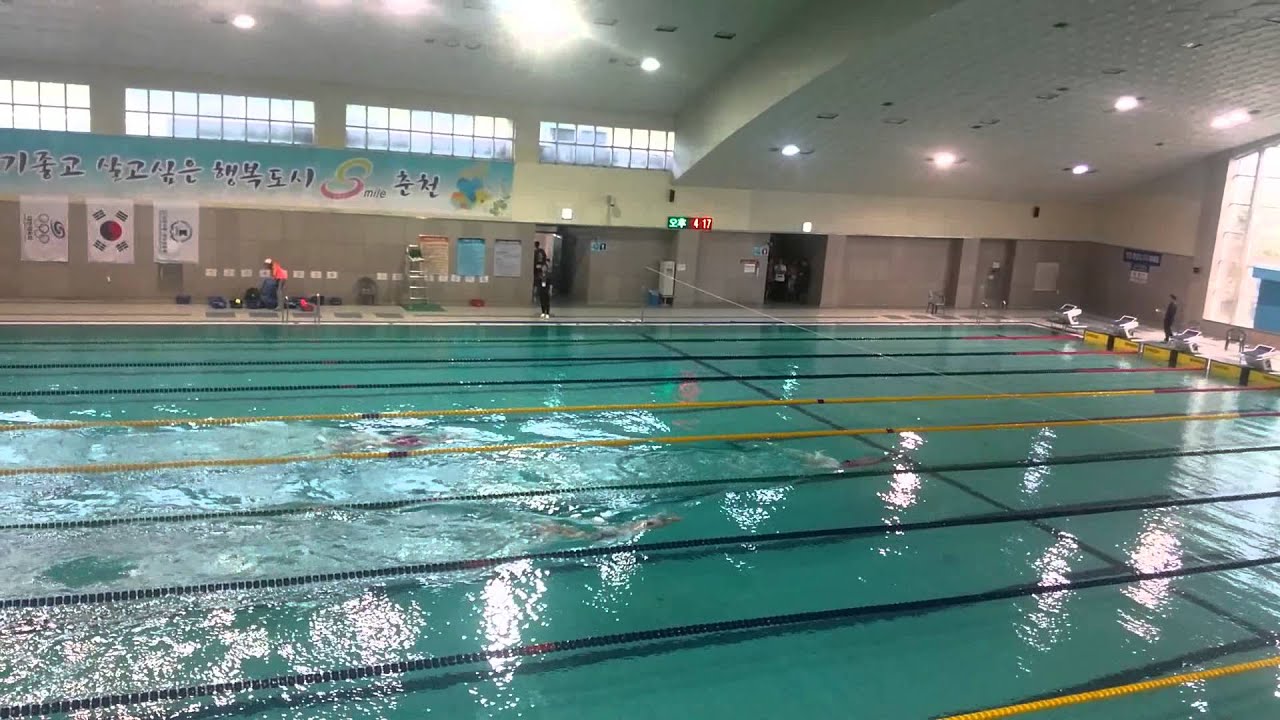 제96회 전국 체육대회 핀수영 경기 영상