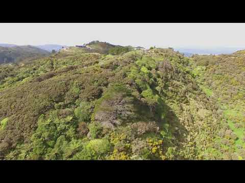 328 Hawkins Hill, Brooklyn. Wellington.