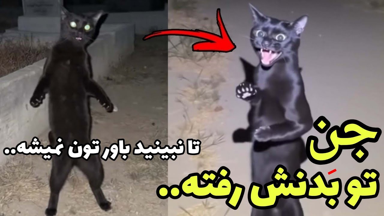 اتفاقات داخل این ویدیو اینقدر وحشتناکه که از ذهنت بیرون نمیره ❌️ جدی بعدش خو