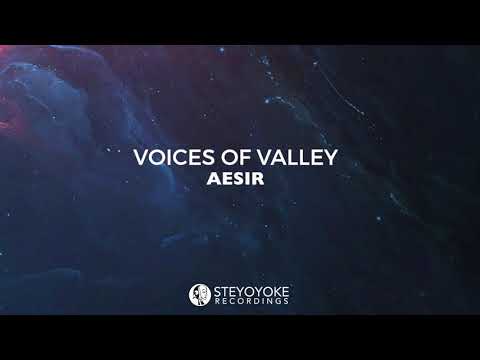 Voices Of Valley - Aesir (Original Mix) | Steyoyoke