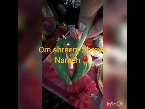 25 aug 2022guru pushya yoga . vishnu sahasranama stotram 🌻🌻🌻🌻 kanupriya Chaudhary 🌟🌟