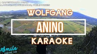 ANINO  -  WOLFGANG ( karaoke )