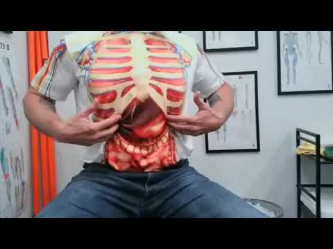 Diaphragm Muscle Self Release for Tension