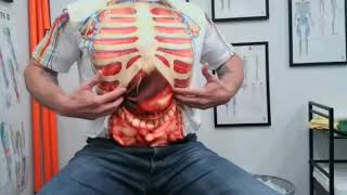 Diaphragm Muscle Self Release for Tension