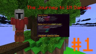 The journey to dealing 1M Damage | Hypixel Skyblock