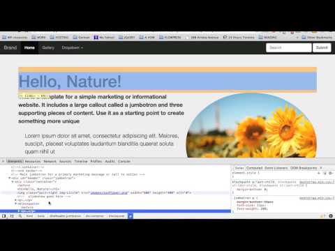 Bootstrap 3  The Complete Guide Course #22- Customize The Header