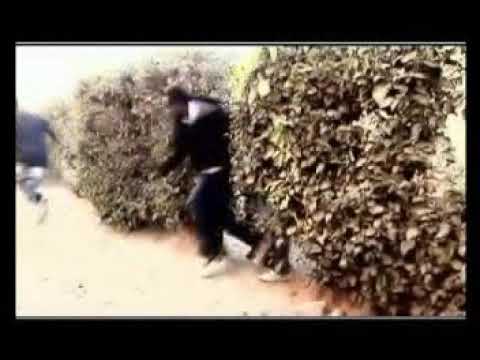 Bfrog and the sonaboyz - 0405 video