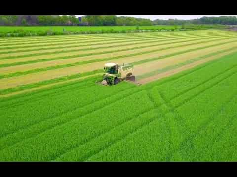 Big M 450 von Holthenrich