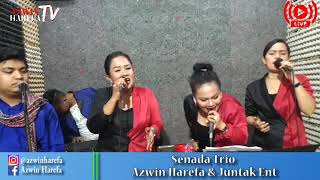 Download lagu SENADA TRIO Sidoli Pargitar Hau Nabolon Donna Boccor Seng Azwin Harefa Juntak Entertain mp3