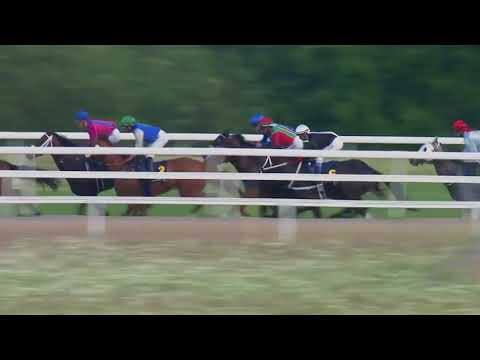 2018.06.18 Jockeyklubbens 2000 Guineas (Swedish 2000 Guineas) - King David