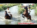 Took My Female Horse Into The Canal Horse Riding In Water