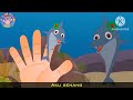 Finger Family Dolphin Finger Family Finger Family Songs Animal Finger Family