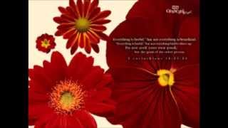 Mark Shultz - Do You Know Me Anymore