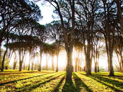 Ferry Corsten - Day Without Rain (PhotoStory Mix)