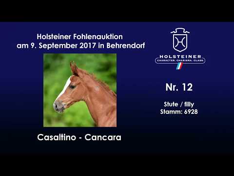 Nr. 12 v. Casaltino - Cancara