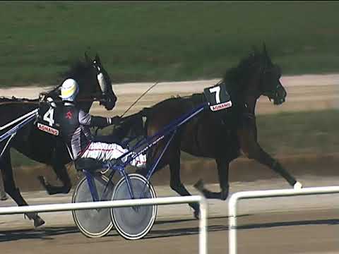 Trotto 09/10/2018 - 2ª corsa