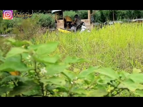 Ngerjain bocil sedang mesum pake petasan