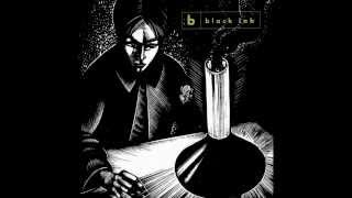 Black Lab - Gates of the Country (Acoustic Instrumental Cover)