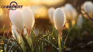 Polished Chrome | Secret of Sound (Original Mix)