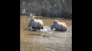 Hennie's Rest - Malelane - South Africa