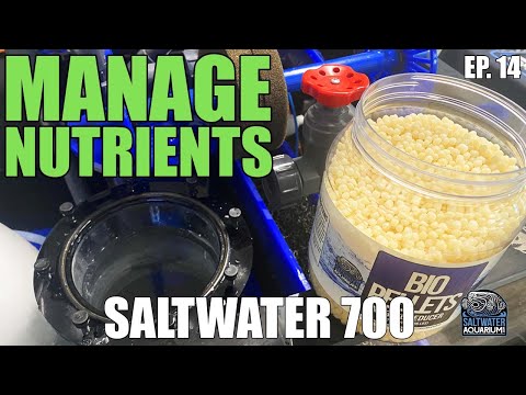 MANAGING Nutrients, Nitrates, Phosphates, In Your Tank For The Long-Term - Saltwater 700