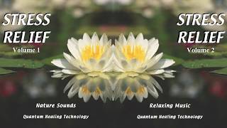 Healing with Mind #7 Quantum Sensory Experiences