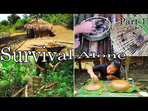 60 Days Alone: Survival Skills in the Rainforest | Part 01