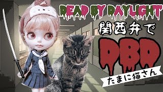 【関西弁でDBD】#69 少しだけやる猫さん【デットバイデイライト配信】